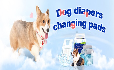 4 Reasons To Say Yes To Dog Diapers